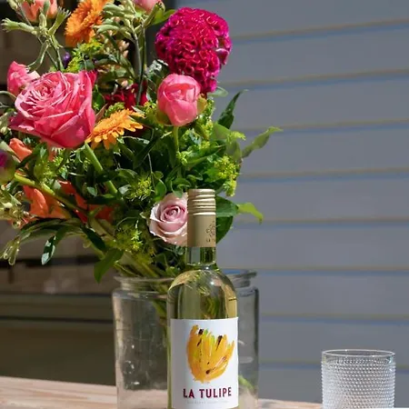 Prázdninový dům Sunny Garden Warmenhuizen